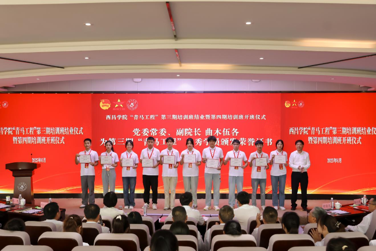 图片4 图片4