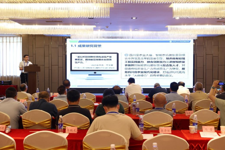 图片16