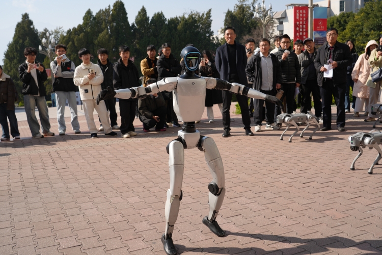 微信图片_20251231234310_43_53