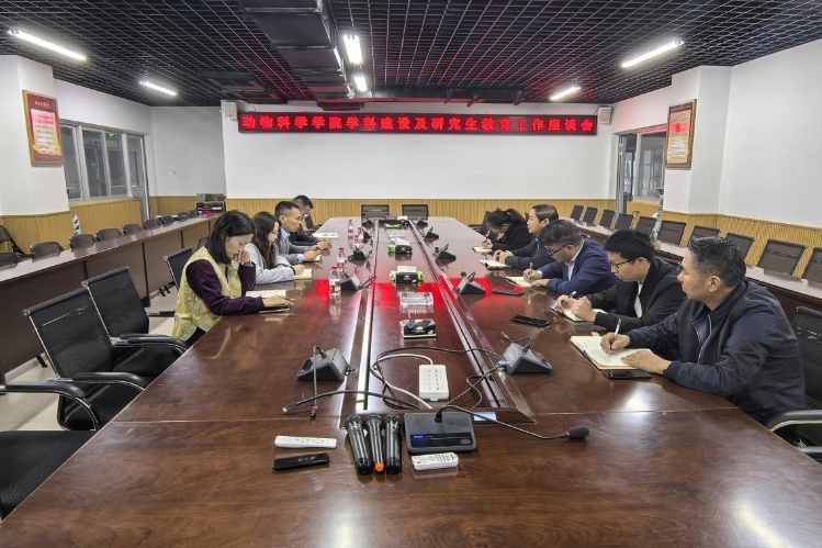 图片1 图片1